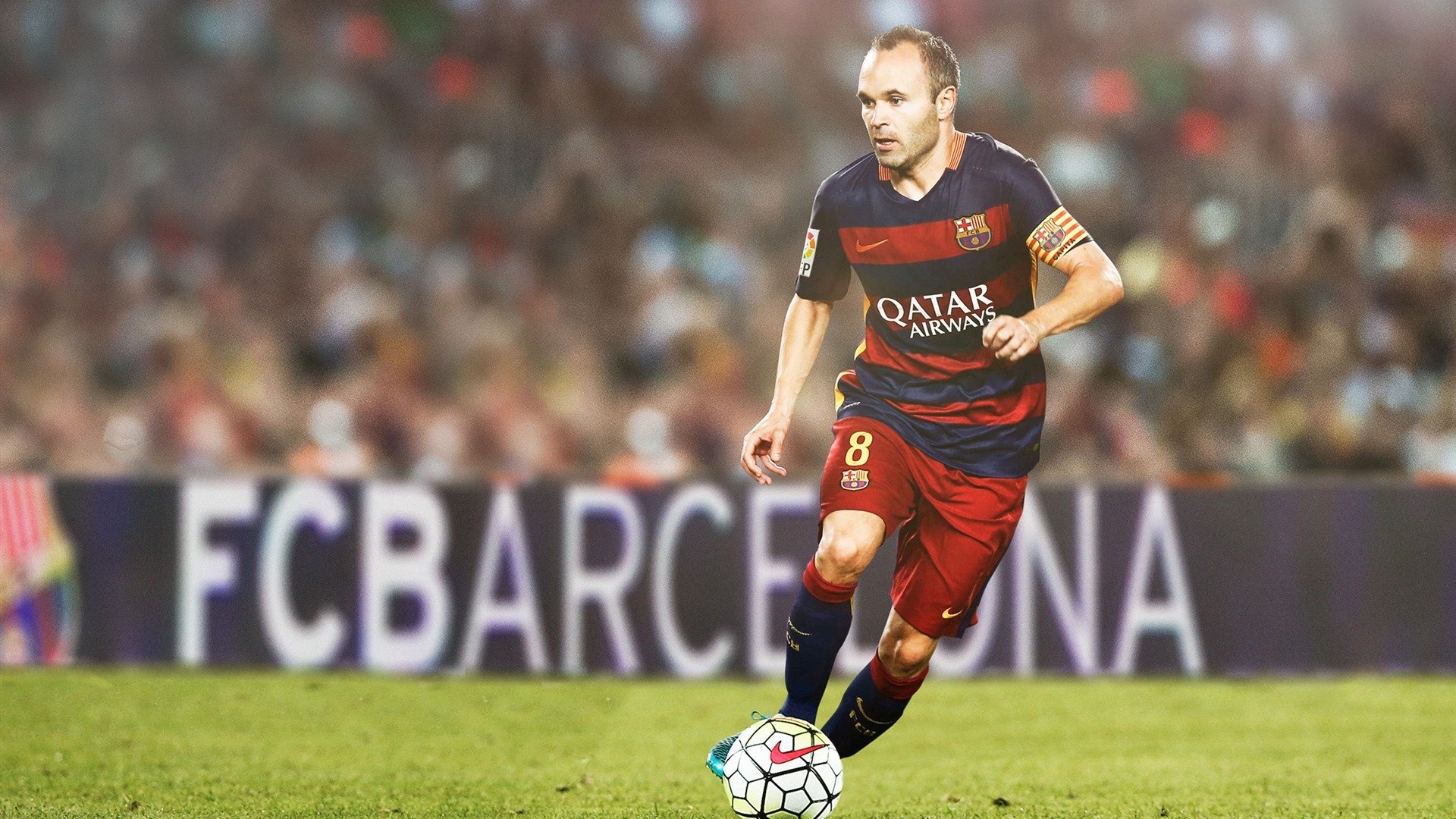 _南极冰原跑：在极地白雪中追逐梦想_，南极冰原阅读答案